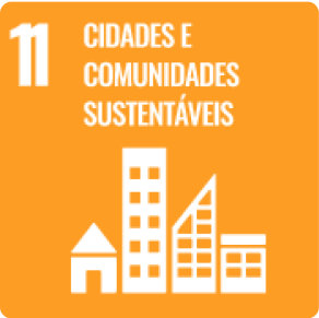 ODS 11