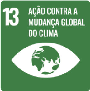 ODS 13